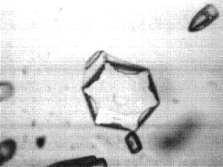 tristan's flake #10