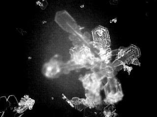 snowflake(19)