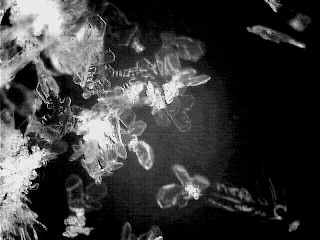 snowflake(23)