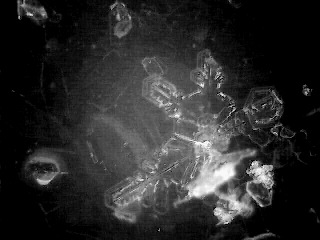 snowflake(24)
