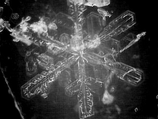 snowflake(27)