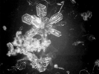 snowflake(29)