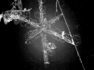 snowflake(30)