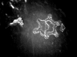 snowflake(31)