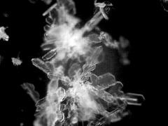 snowflake(21)