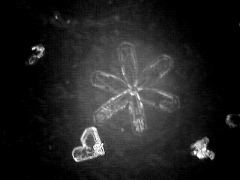 snowflake(32)