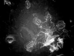 snowflake(24)