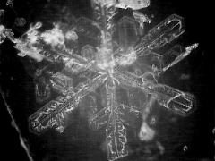 snowflake(27)