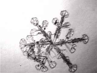 snowflake I