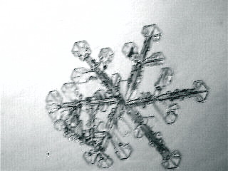 snowflake m