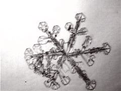 snowflake I