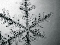 snowflake l