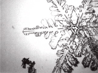 Snowflakes2