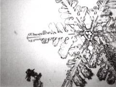Snowflakes2
