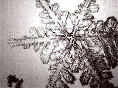Snowflakes7