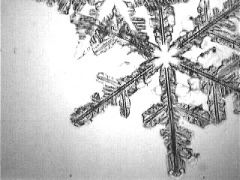 Snowflakes10