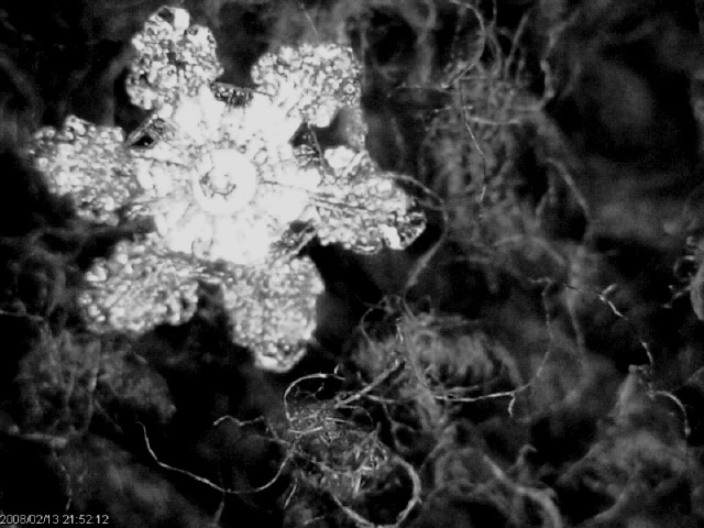 snow-5