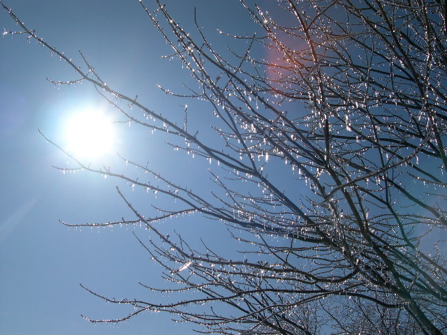 DSCN0006.JPG