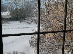 DSCN0005.JPG