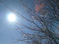 DSCN0006.JPG