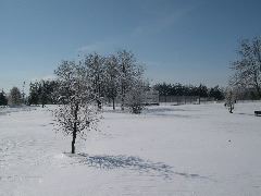 DSCN0020.JPG
