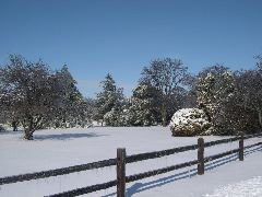 DSCN0021.JPG
