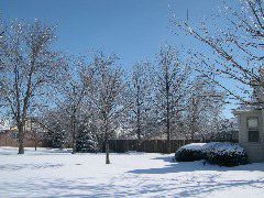DSCN0023.JPG