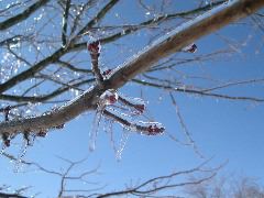 DSCN0008.JPG