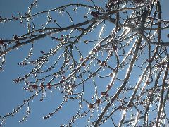 DSCN0011.JPG