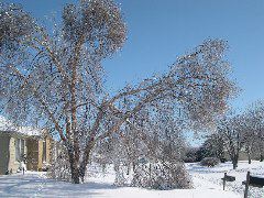 DSCN0012.JPG