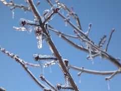 DSCN0014.JPG