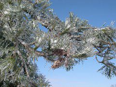 DSCN0018.JPG