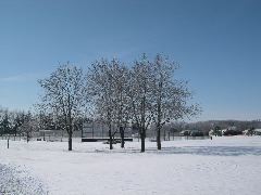 DSCN0019.JPG